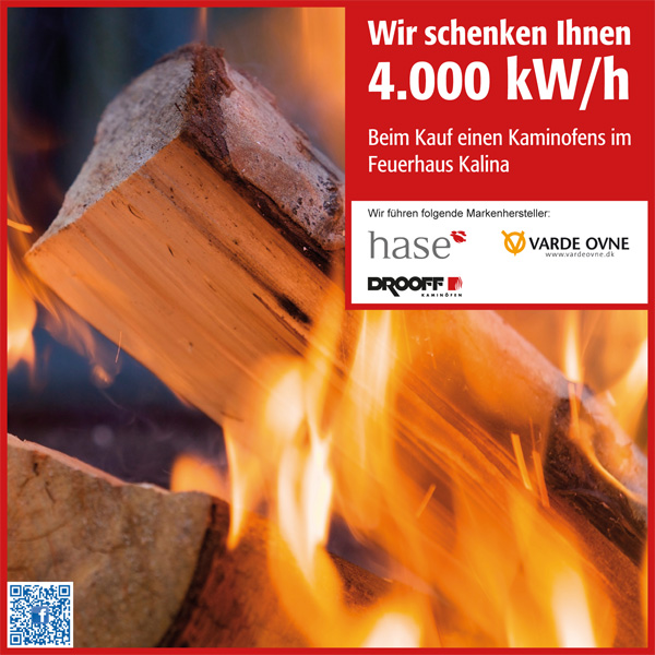 Wir schenken 4.000 kW/h Holz beim Kauf eines Kaminofen - Feuerhaus Kalina - Schweinfurt - Würzburg